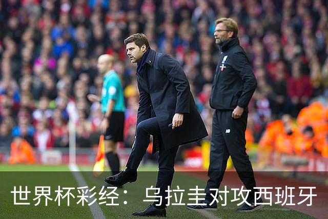 世界杯彩经：乌拉圭对攻西班牙