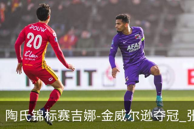 陶氏锦标赛吉娜-金/威尔逊夺冠 张维维/张雅惠T12