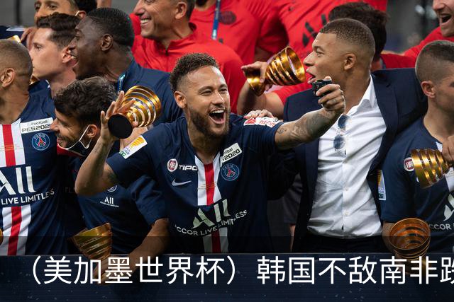 （美加墨世界杯）韩国不敌南非跌至小组第三 出线前景待定